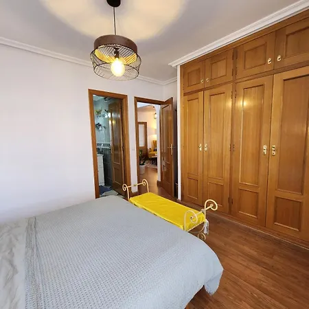 Tanuza's 公寓 托雷维耶哈